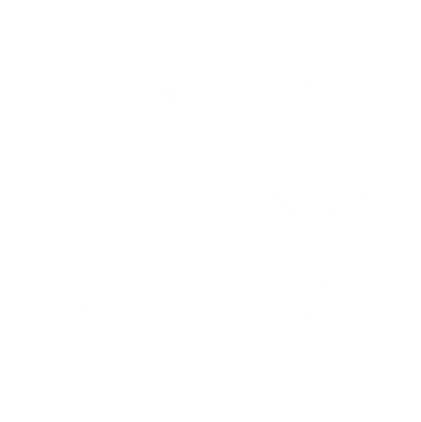 a close up of a logo